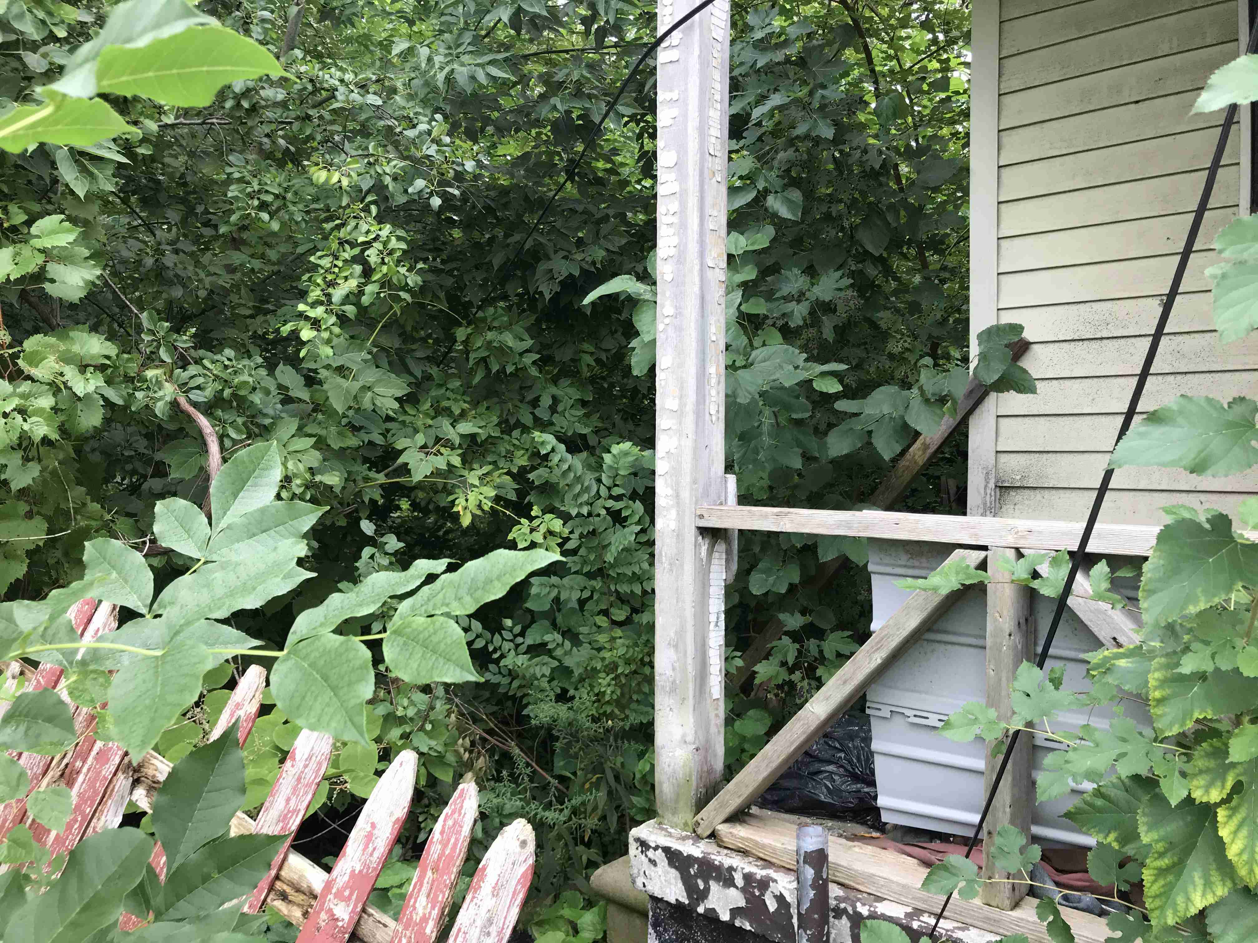 Photo Sep 09, 12 20 08 PM.jpg